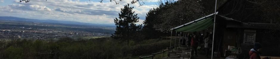 photo-2019-04-07-23-24-54-4