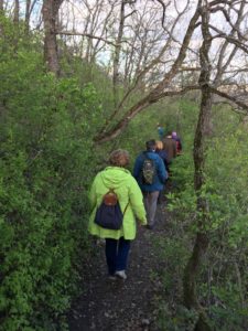 photo-2019-04-07-23-24-55-3